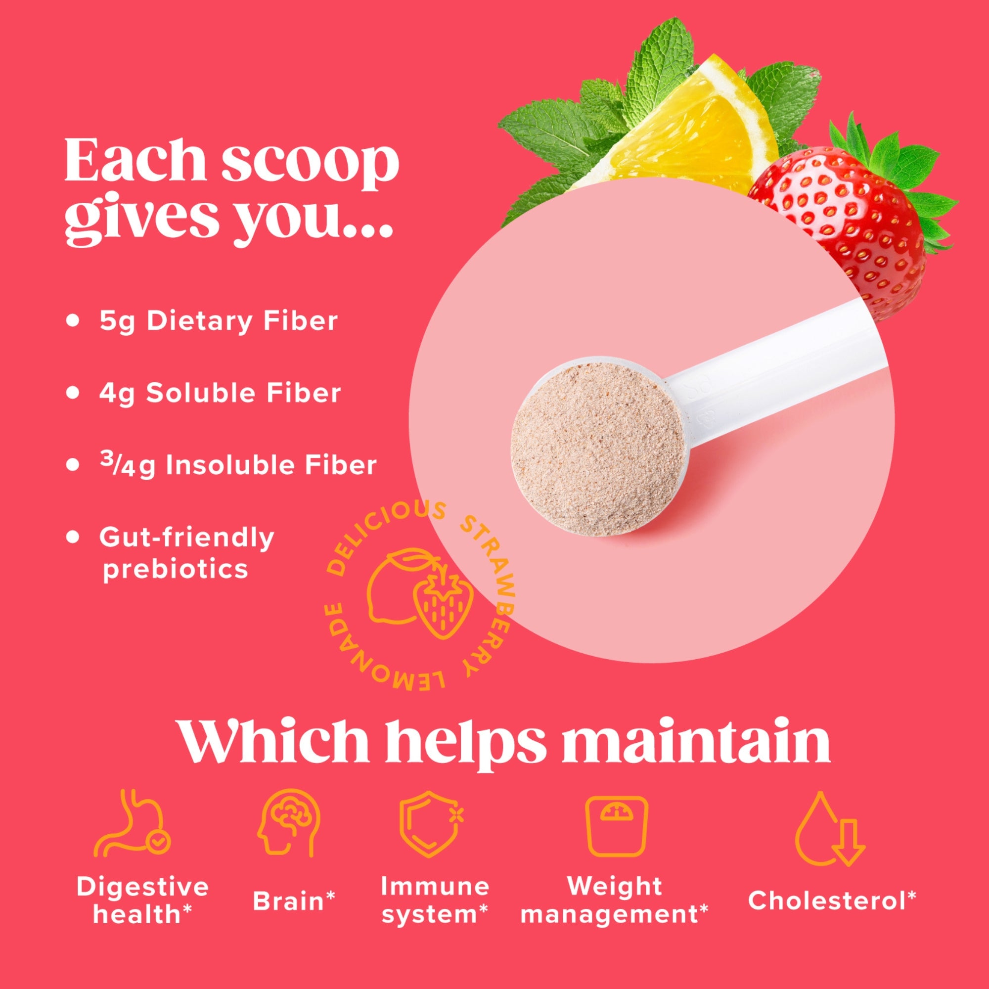 FiberDaily - Fiber Powder Supplement – Naturenetics